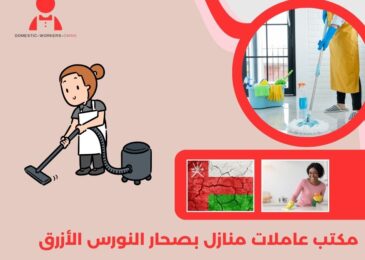 مكتب عاملات منازل بصحار النورس الأزرق