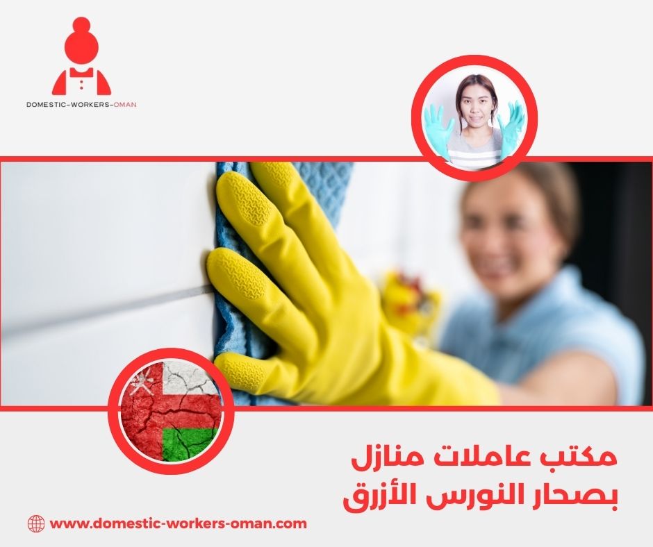مكتب عاملات منازل بصحار النورس الأزرق