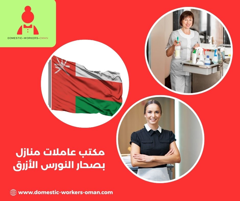 مكتب النورس الأزرق بصحار- خدمات استقدام عاملات منزلية موثوقة