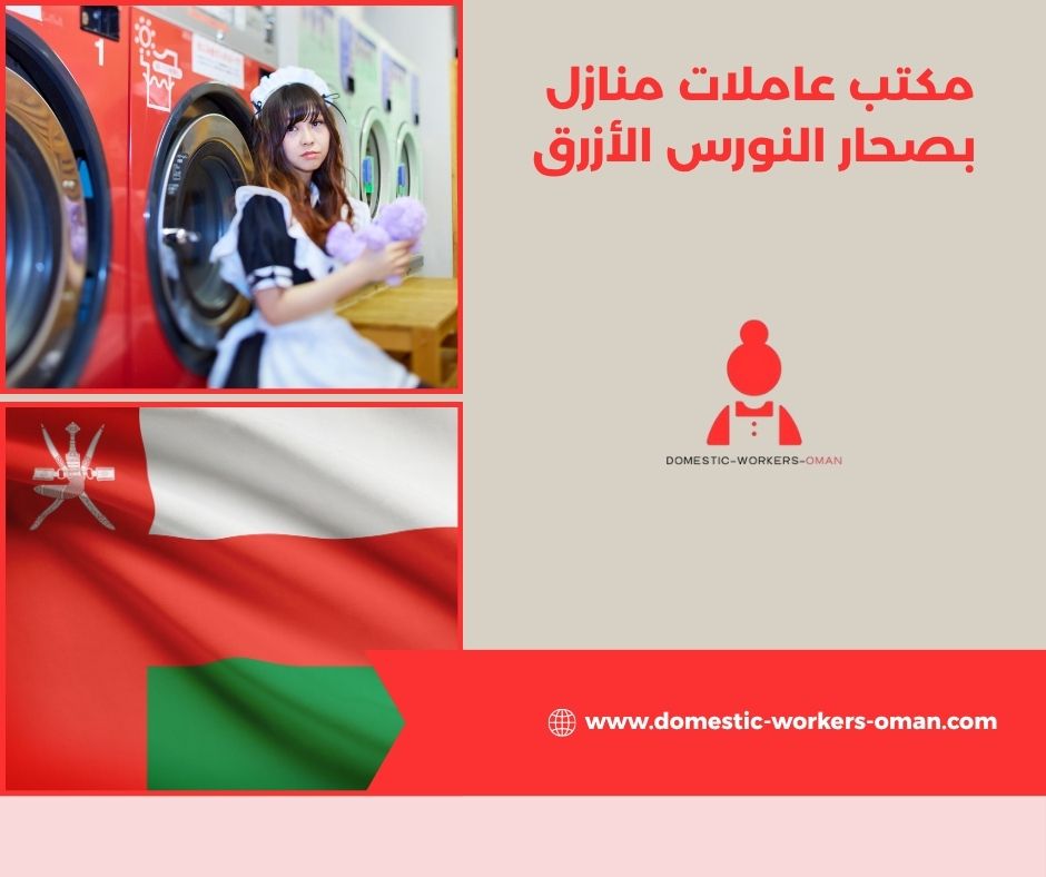 تجارب العملاء مع مكتب النورس الأزرق لاستقدام الشغالات